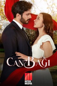  Сердечные струны 